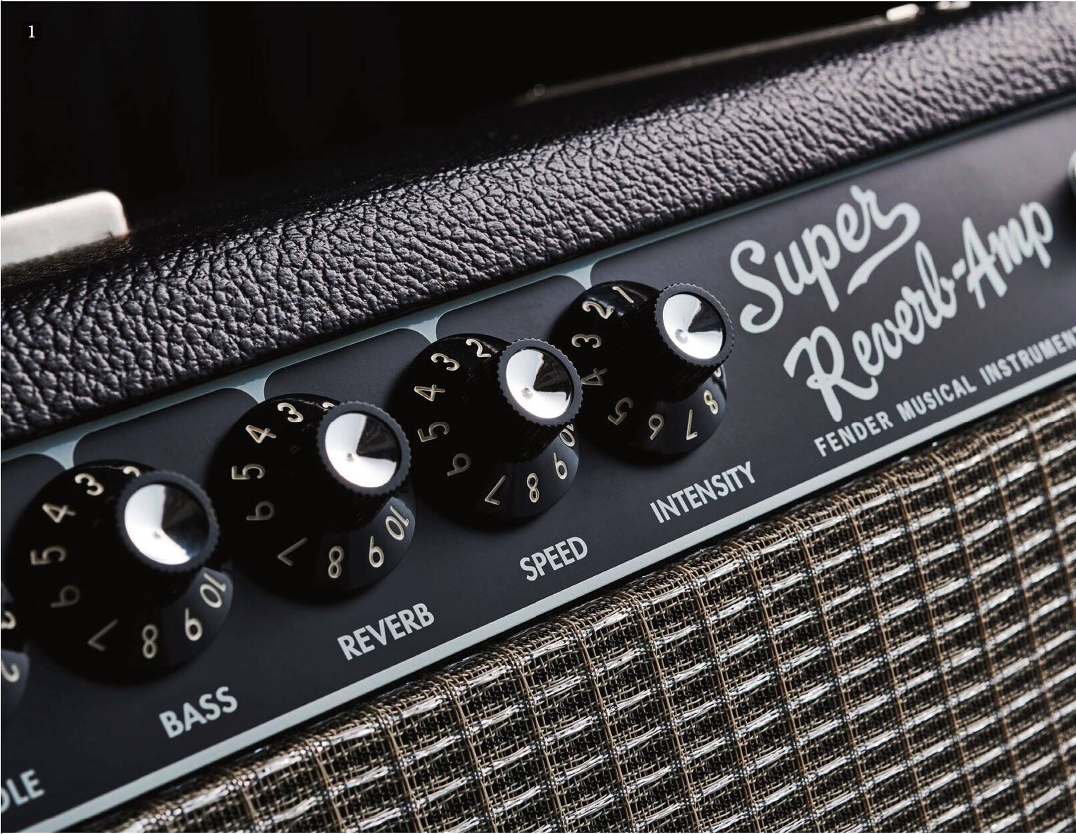 Fender Tone Master Super Reverb Review