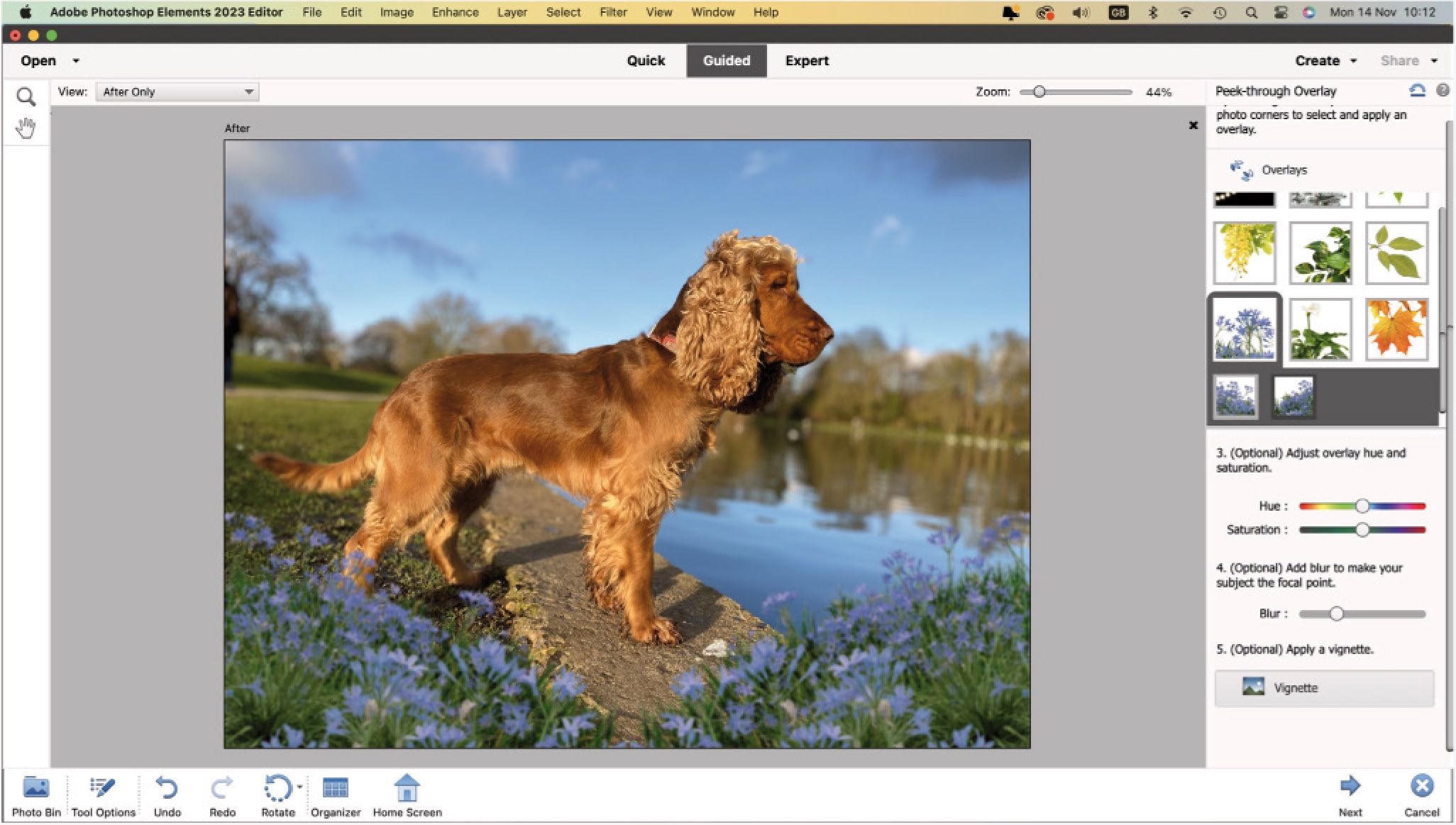 ADOBE PHOTOSHOP ELEMENTS 2023 Review