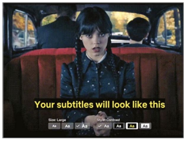 How to make subtitles bigger in netflix