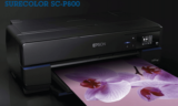 Epson Surecolor SC-P800 Review: WORK AND PLEASURE