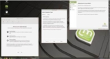 Linux Mint 19 Review