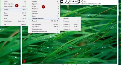 Veneta Viewer Review